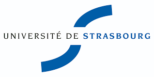 Laboratoire des Nanostructures (ISIS Strasbourg)